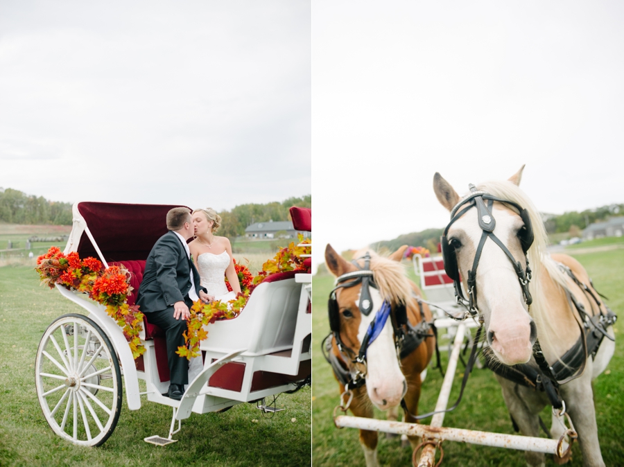 Nicole And Brandon Wisconsin Cau St Croix Winery Wedding Wisconsin St Croix Winery Wedding Photographer Engagement