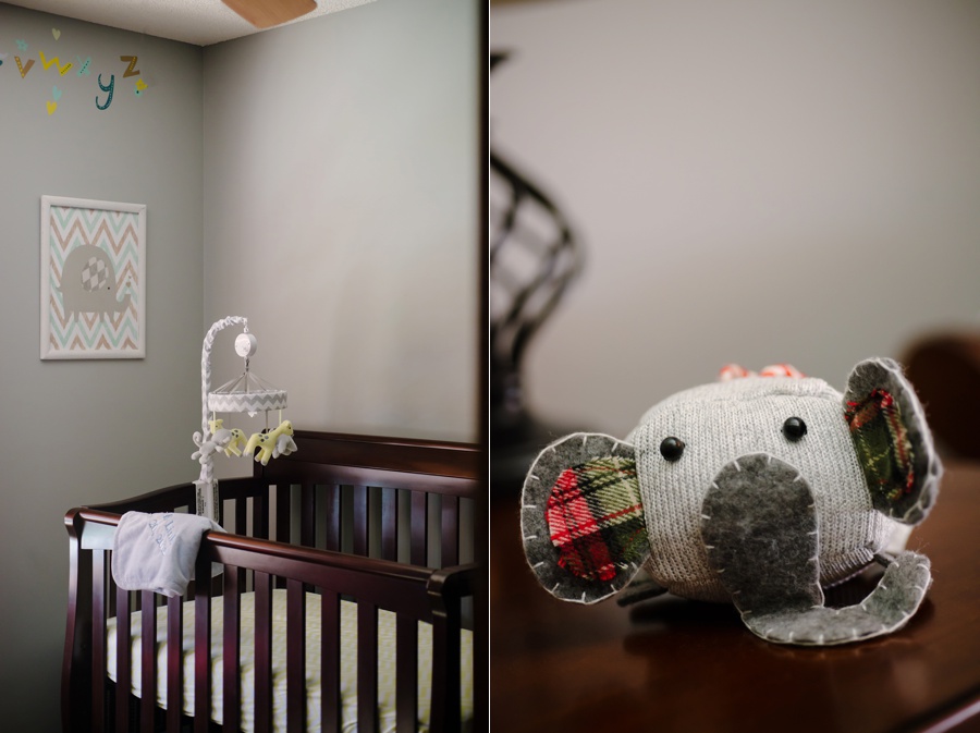 Baby Link Twin Cities Lifestyle Newborn Session St Paul Mn Newborn Lifestyle Details