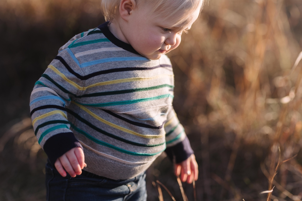 toddler walking in brown field during photo session