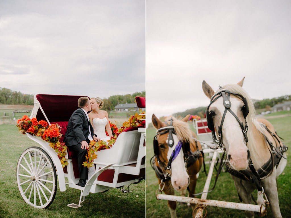 bride and groom kiss in horse drawn carriage