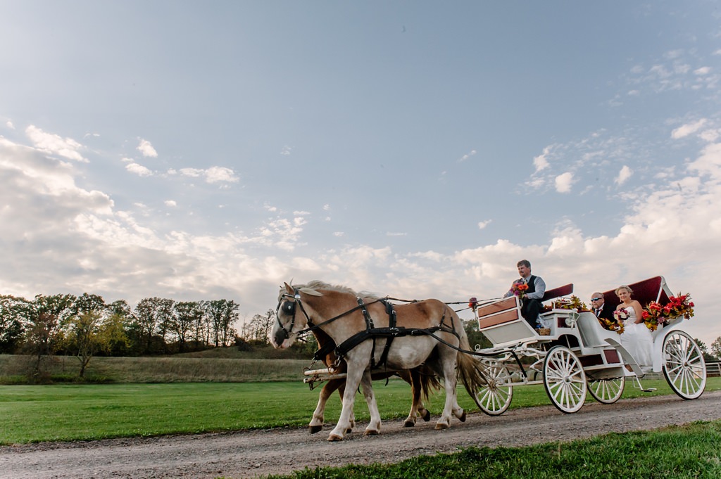 bride in horse drawn carriage