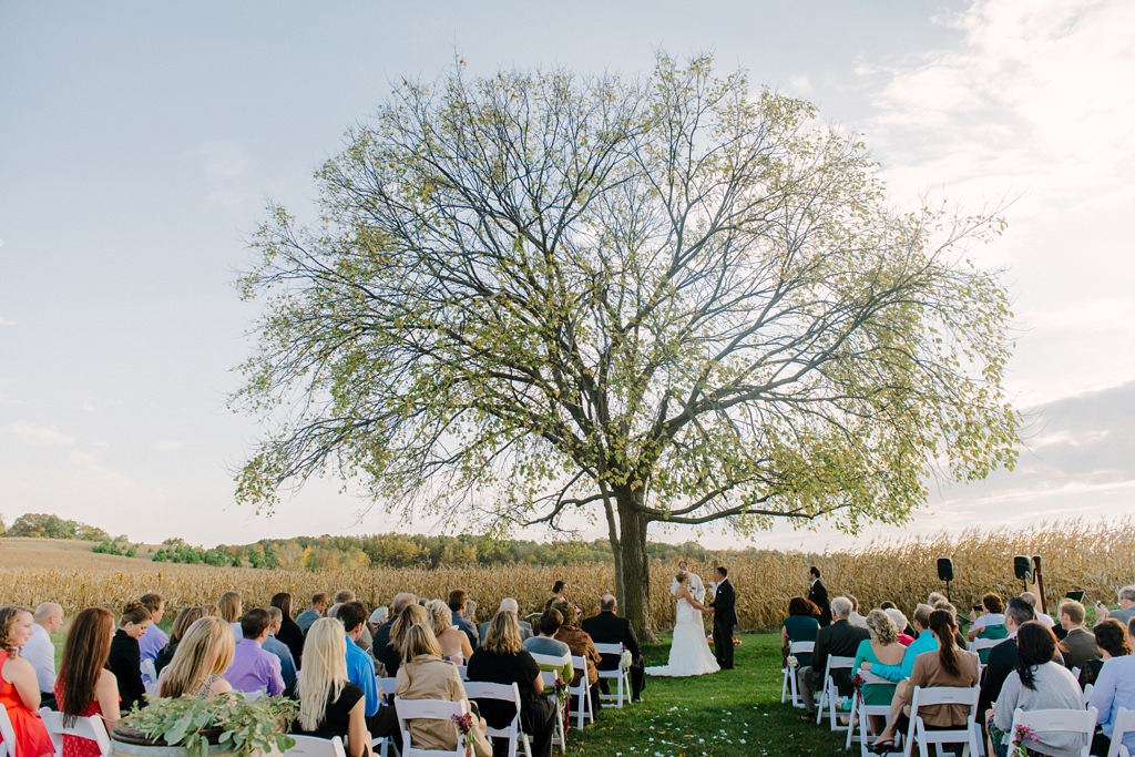 married beneath tree at wisconsin winery st croix
