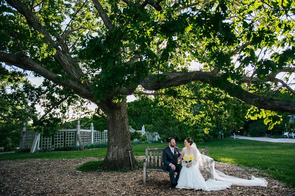 bride and groom sit on bench beneath large tree at minnesota arboretum