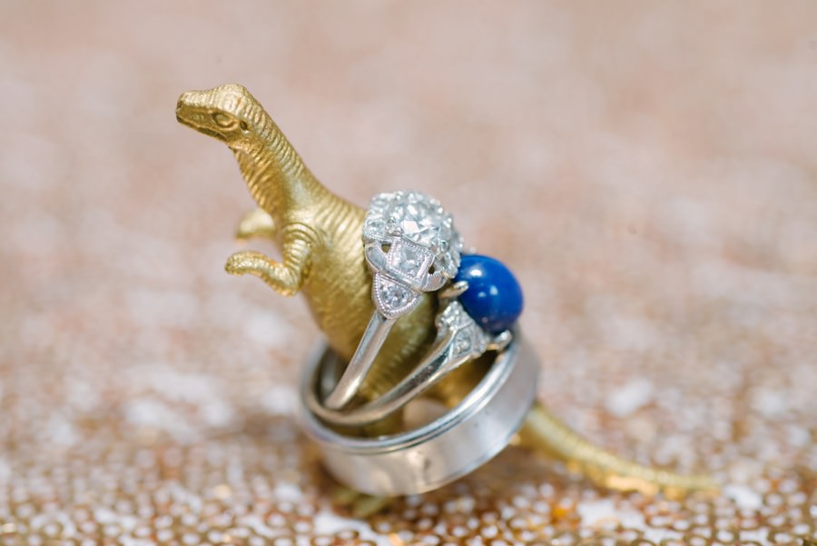 gold dinosaur with wedding rings minnetonka photographer