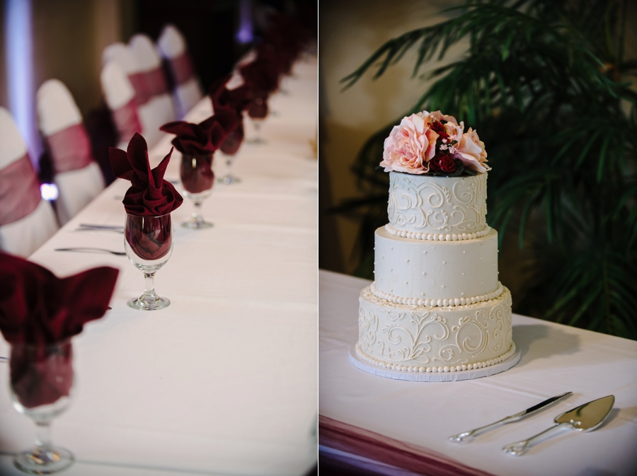 Roseville Wedding, St Paul Wedding Photos, Candid Minnesota Wedding Photography, Cake and Decorations