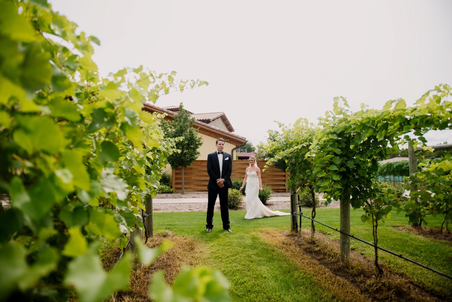 wisconsin vineyard wedding photography