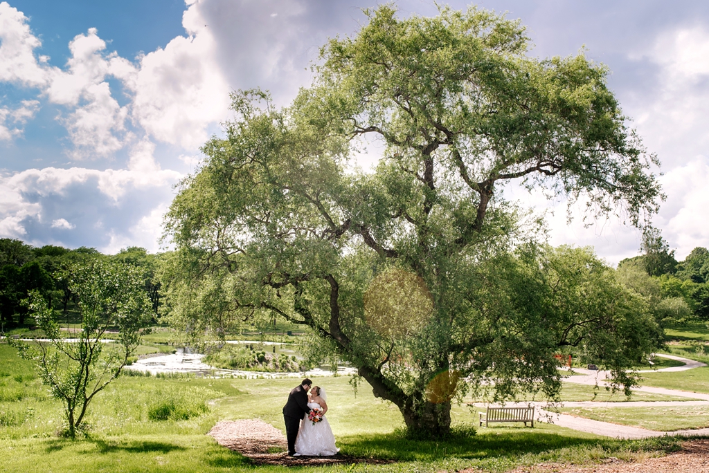 minnesota summer wedding bride and groom under tree