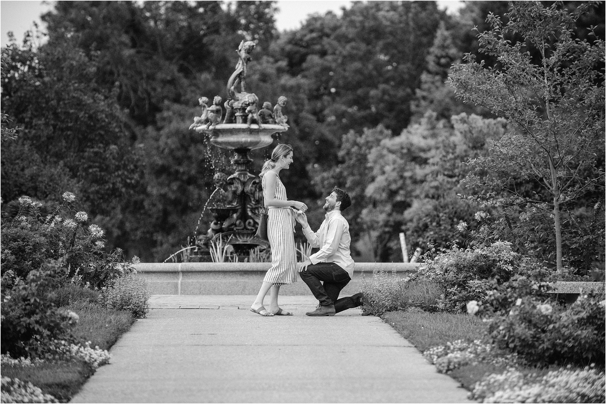 surprise proposal at minneapolis rose garden