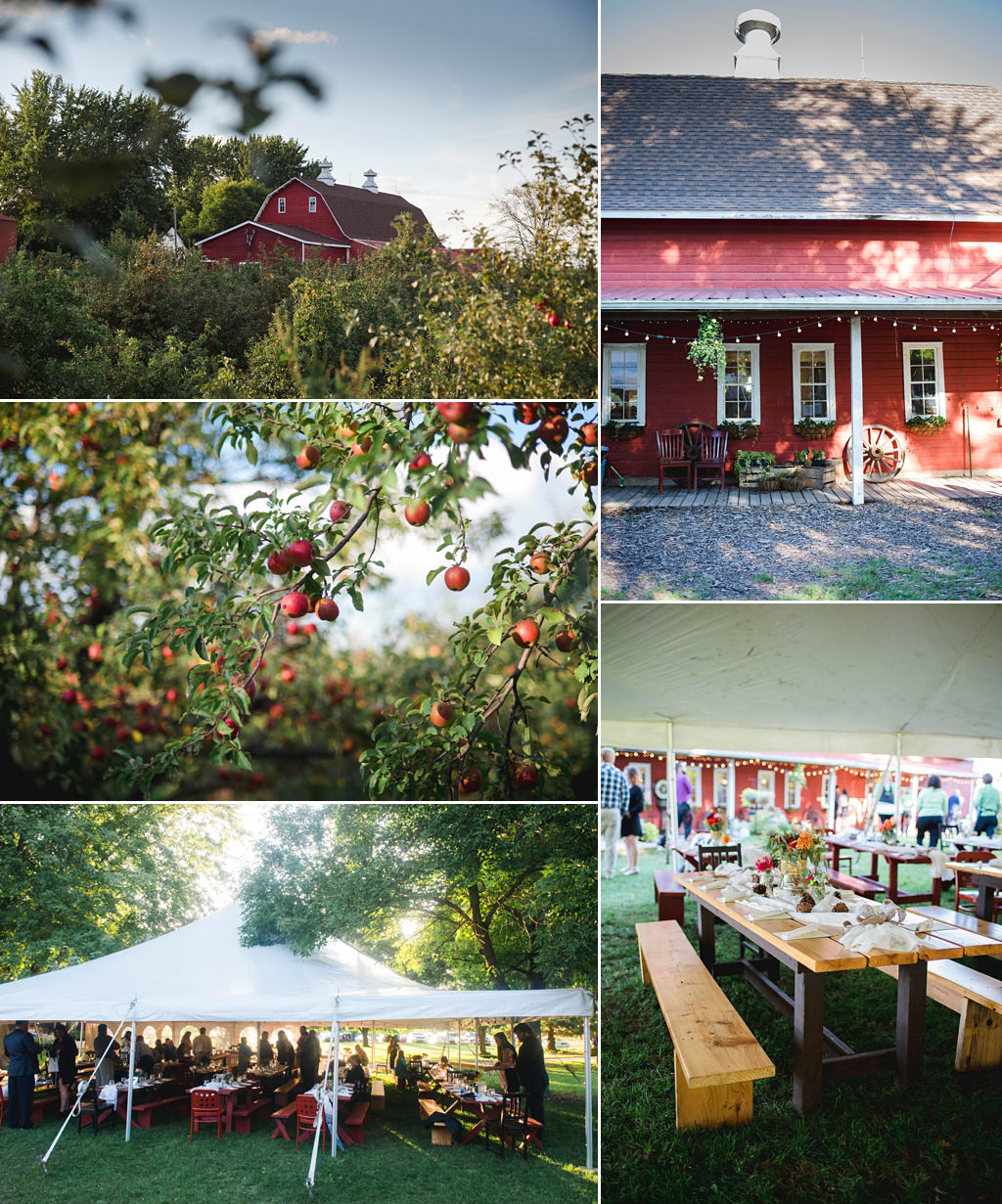 Unique Minnesota places to get married at Deer Lake Orchard 