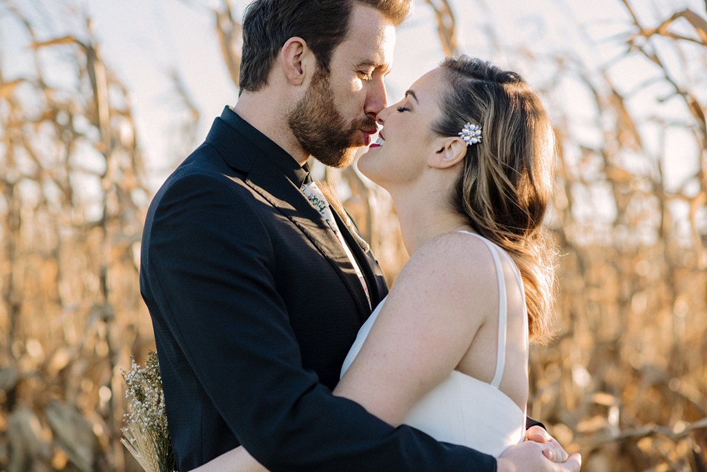 newlyweds kiss by cornfield in minnesota