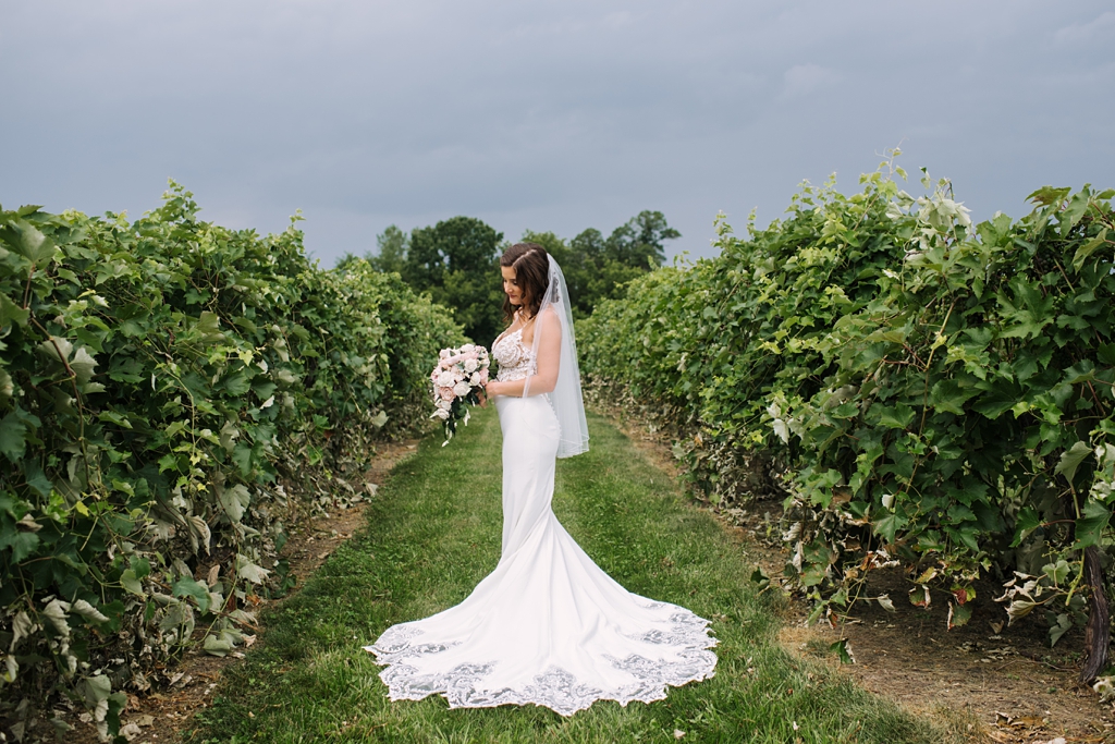 bride with grapevines and stormy sky