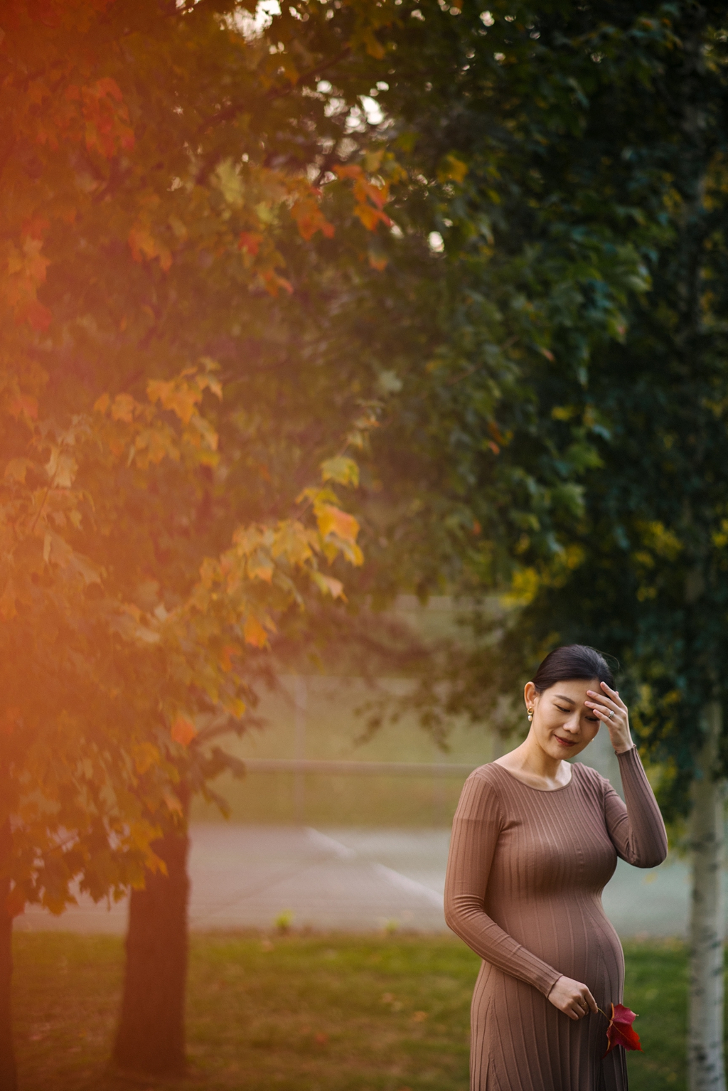 fall trees during minneapolis maternity session