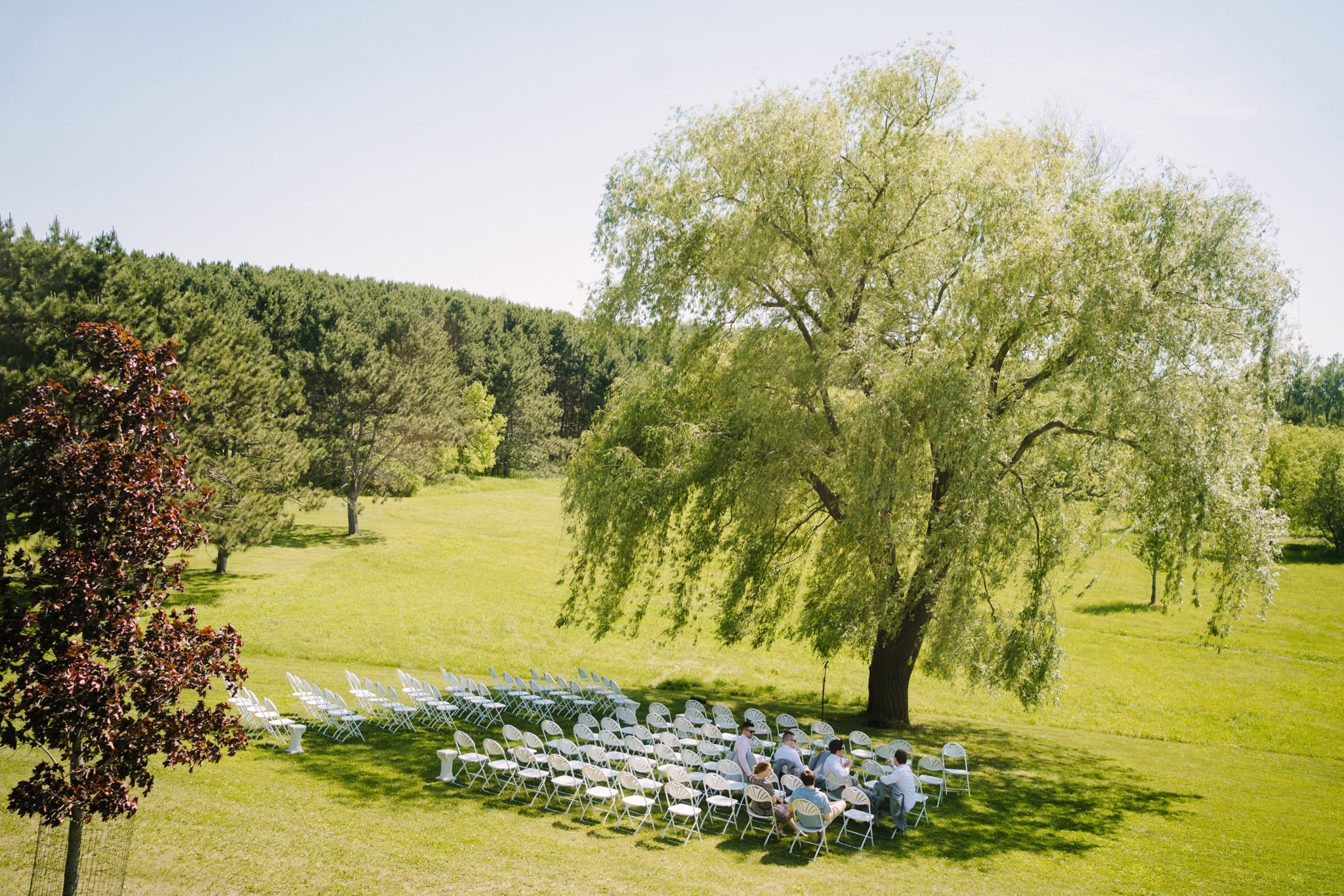homestead wedding beneath willow tree