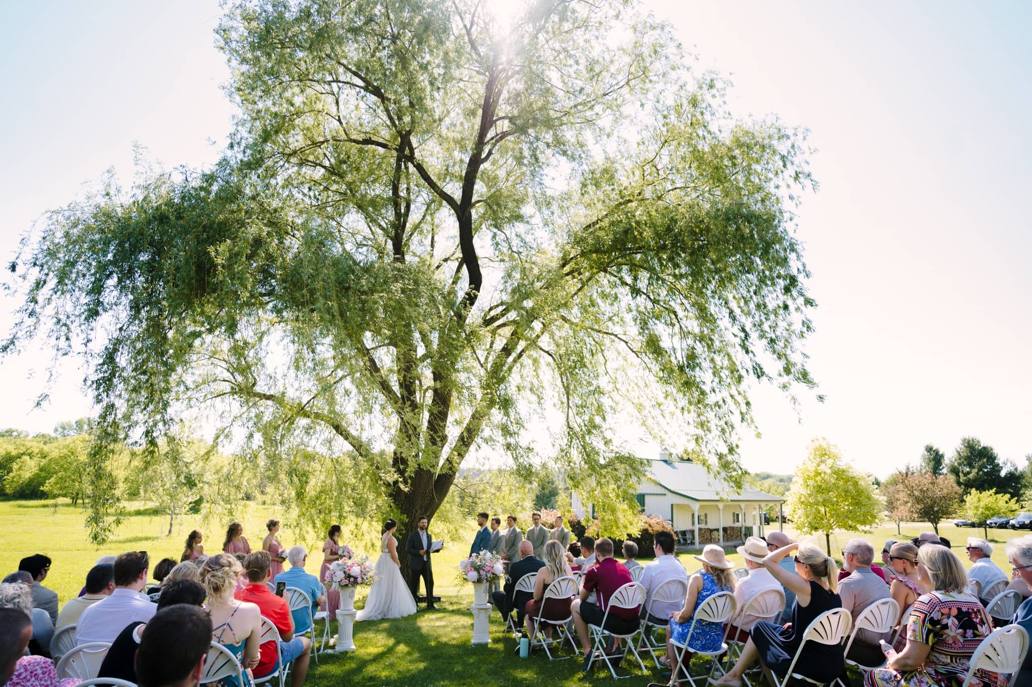 garden party wedding beneath willow tree